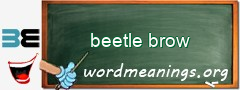 WordMeaning blackboard for beetle brow